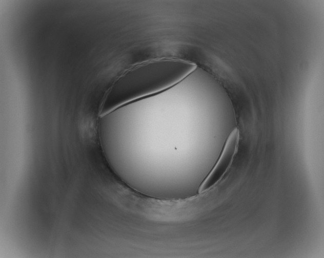 X0000113150037200909111003