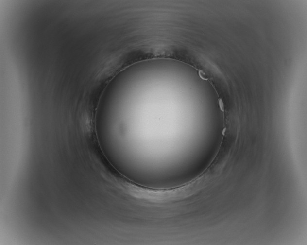 X0000113150039200909111003