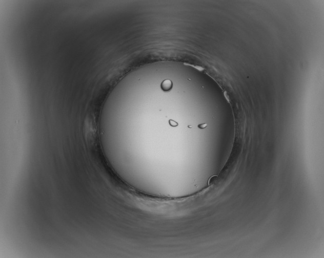 X0000113150040200909111003