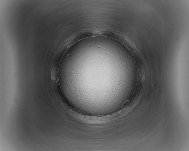 X0000113150044200909111003