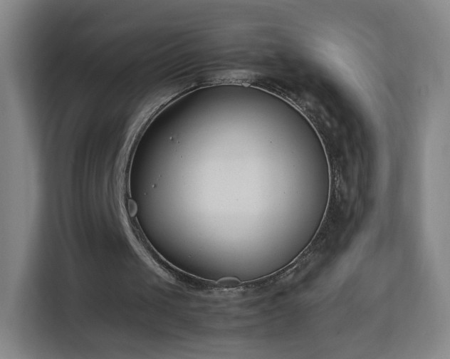 X0000113150049200909111002