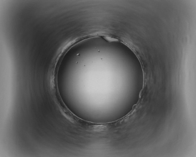 X0000113150050200909111002