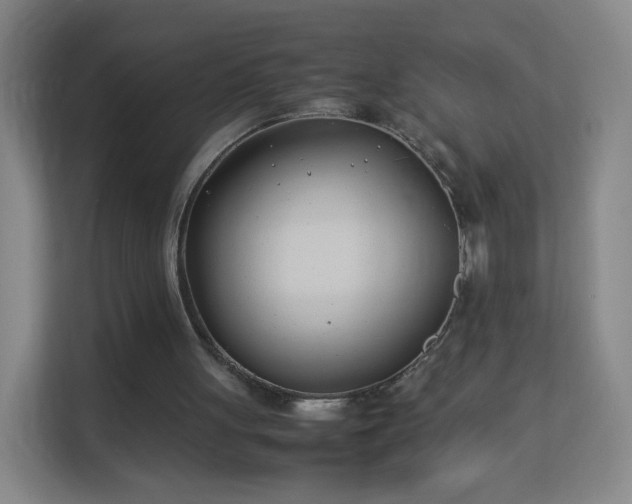 X0000113150051200909111002