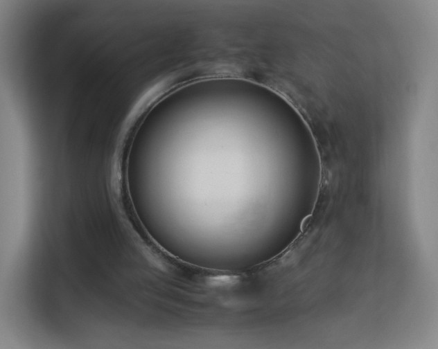 X0000113150053200909111002