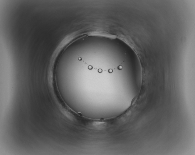 X0000113150055200909111002