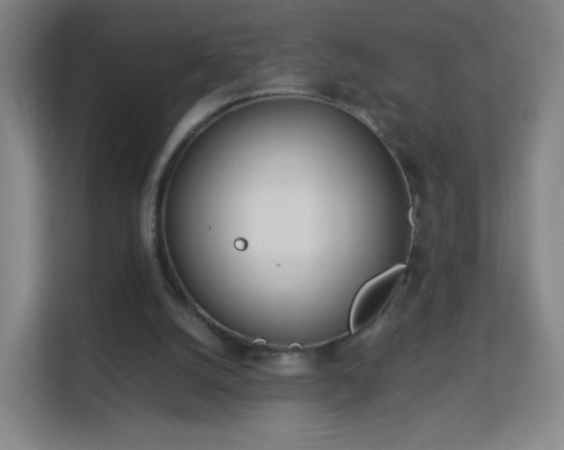 X0000113150056200909111002