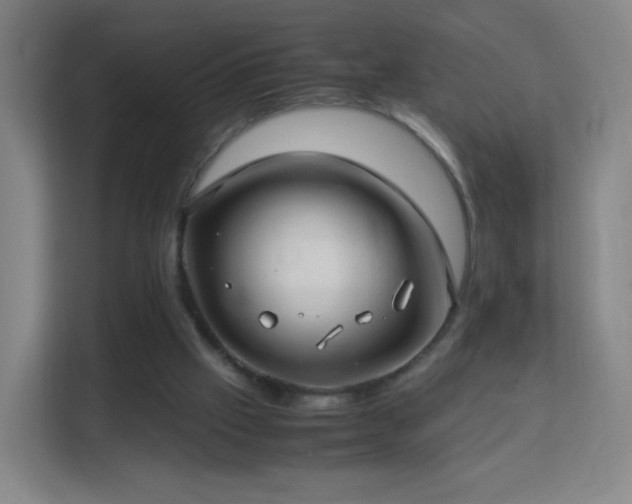 X0000113150057200909111002