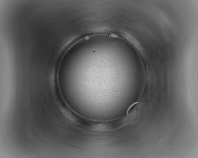 X0000113150058200909111002