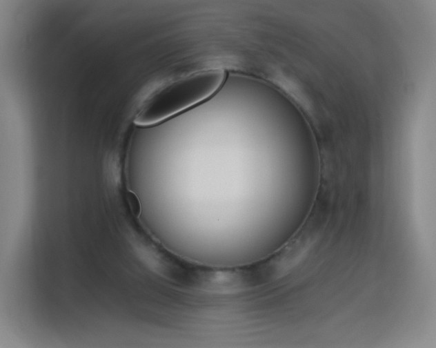 X0000113150060200909111002