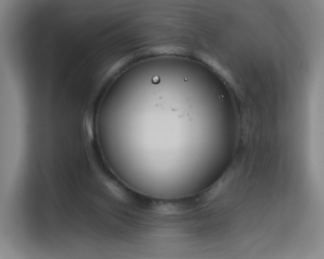 X0000113150062200909111002