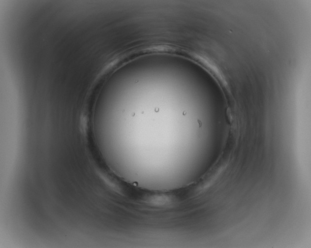 X0000113150063200909111002