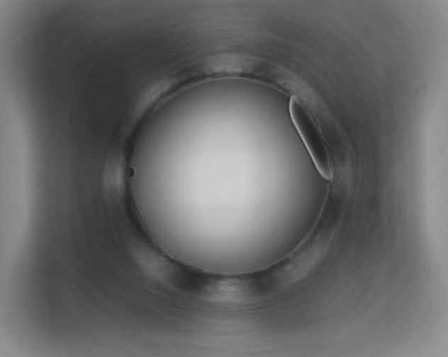 X0000113150064200909111002