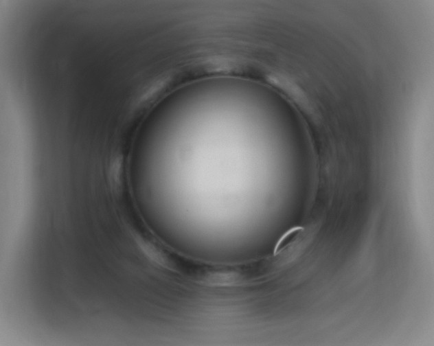 X0000113150066200909111002