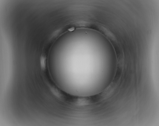 X0000113150070200909111002