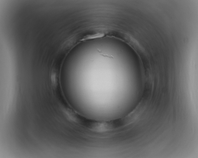 X0000113150074200909111003