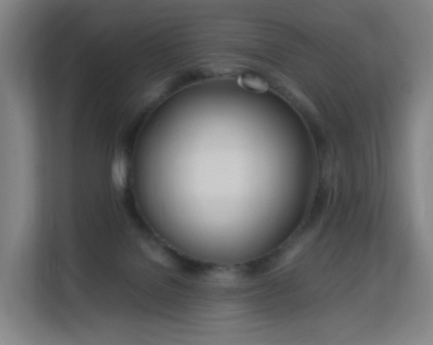 X0000113150076200909111003