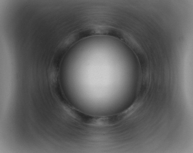 X0000113150078200909111003