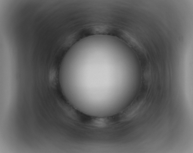 X0000113150079200909111003