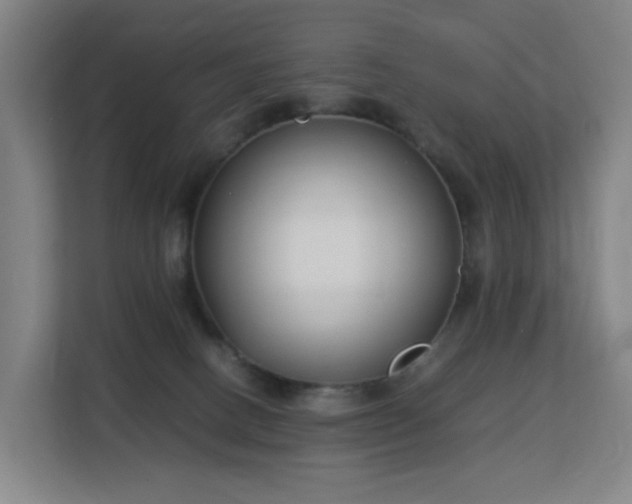 X0000113150082200909111003