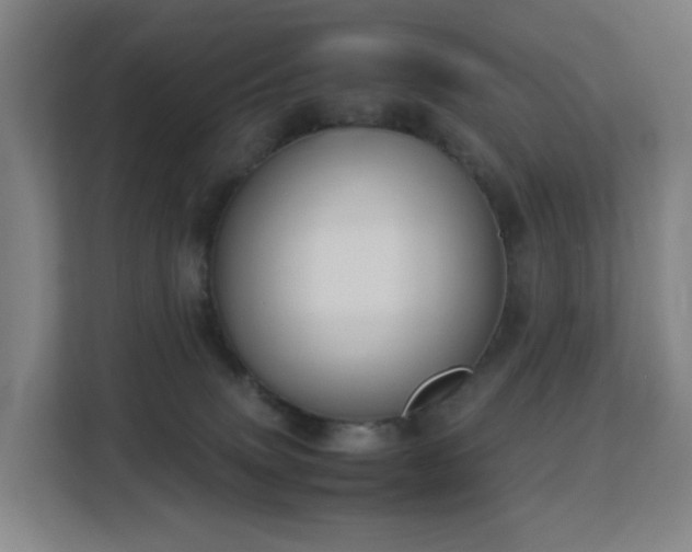 X0000113150083200909111003