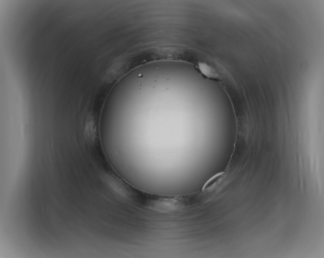 X0000113150086200909111003