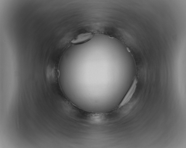 X0000113150088200909111003