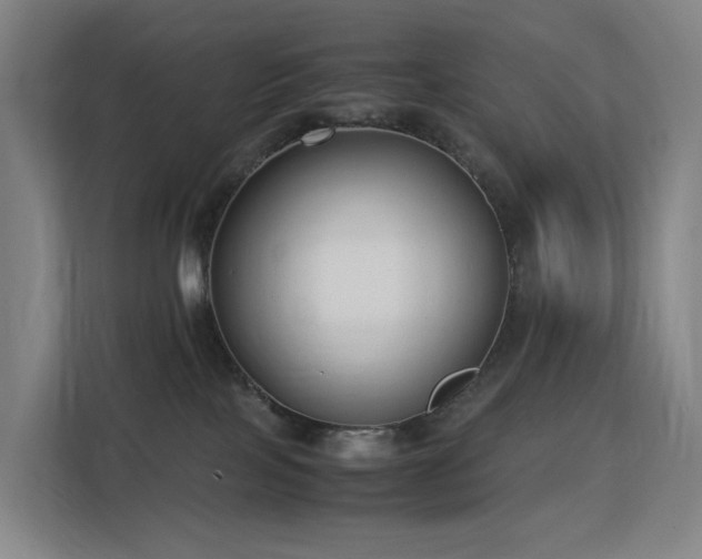 X0000113150089200909111003