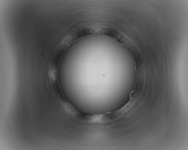 X0000113150090200909111003