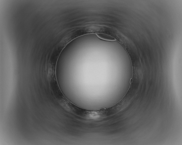 X0000113150091200909111003