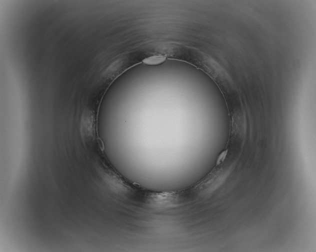 X0000113150092200909111003