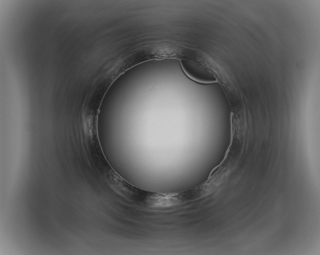 X0000113150093200909111003