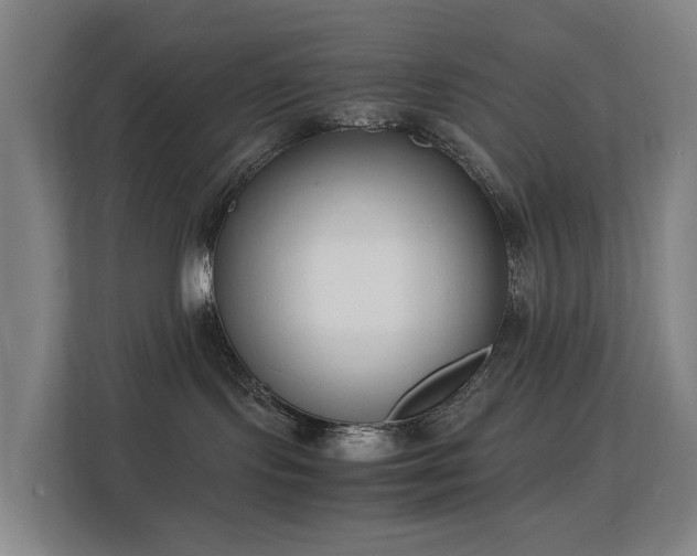 X0000113150095200909111003