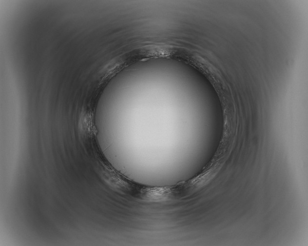 X0000113150096200909111003