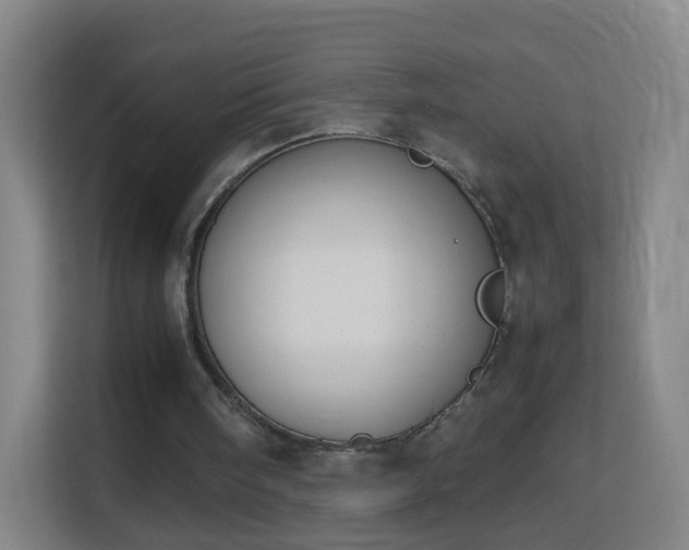 X0000113150098200909111002