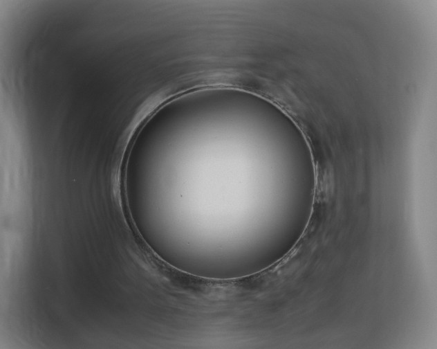 X0000113150099200909111002