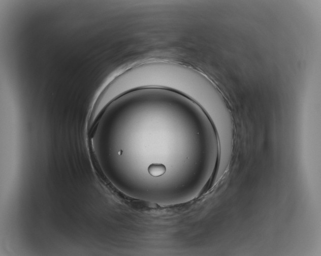 X0000113150100200909111002