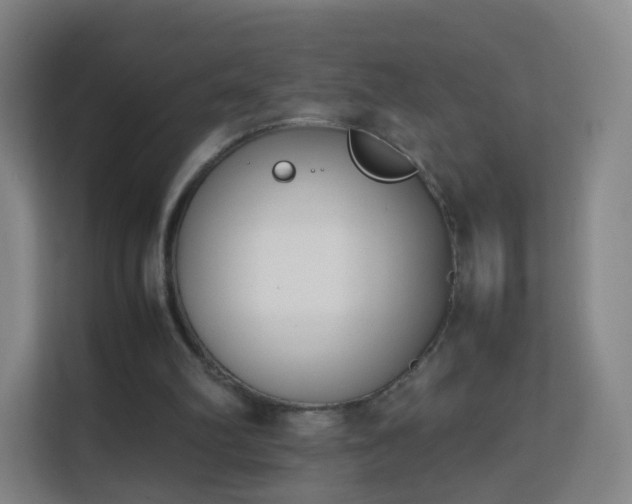 X0000113150102200909111002