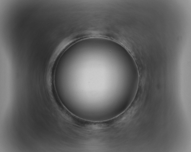 X0000113150103200909111002