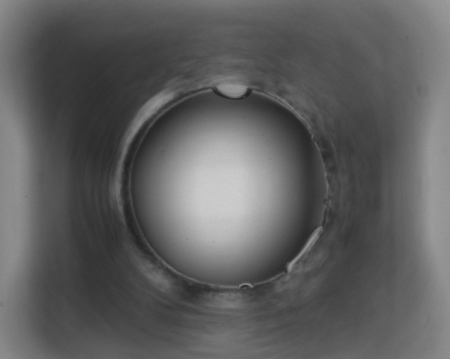 X0000113150104200909111002