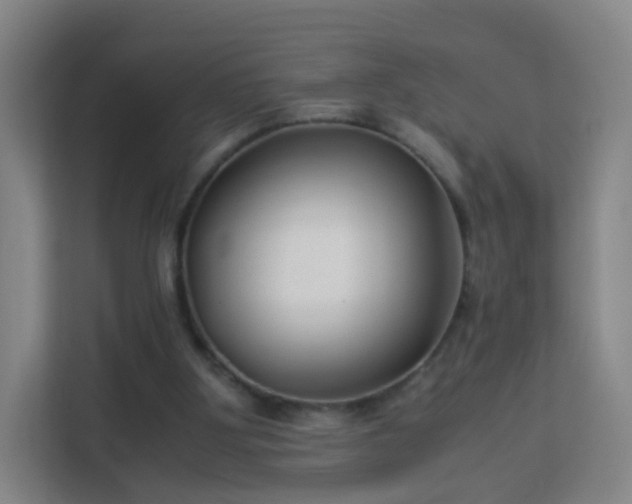 X0000113150107200909111002