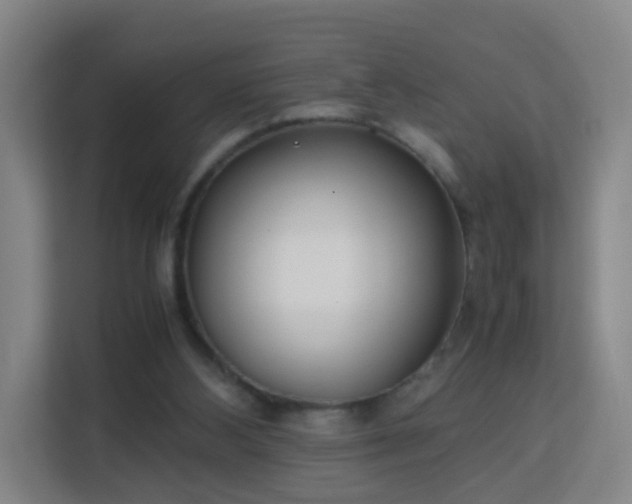 X0000113150108200909111002