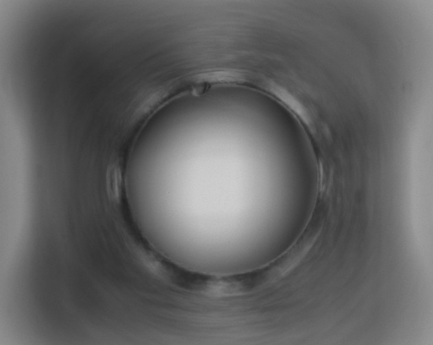 X0000113150109200909111002