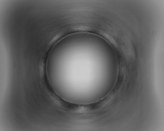 X0000113150111200909111002