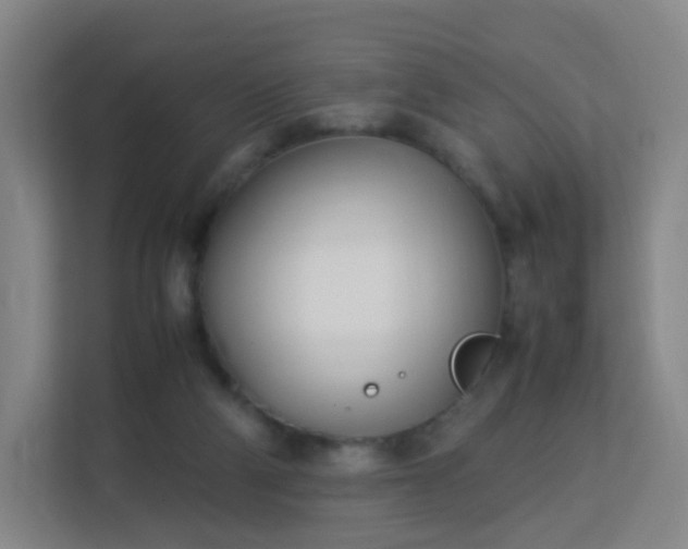 X0000113150114200909111002