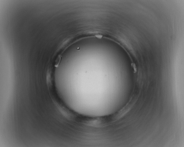 X0000113150116200909111002