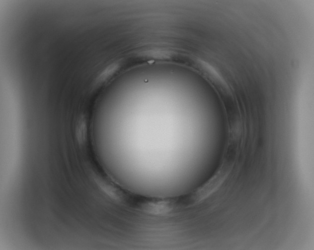 X0000113150120200909111002