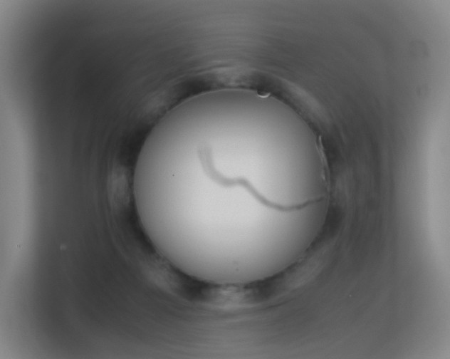 X0000113150121200909111002