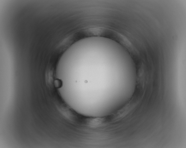 X0000113150122200909111002