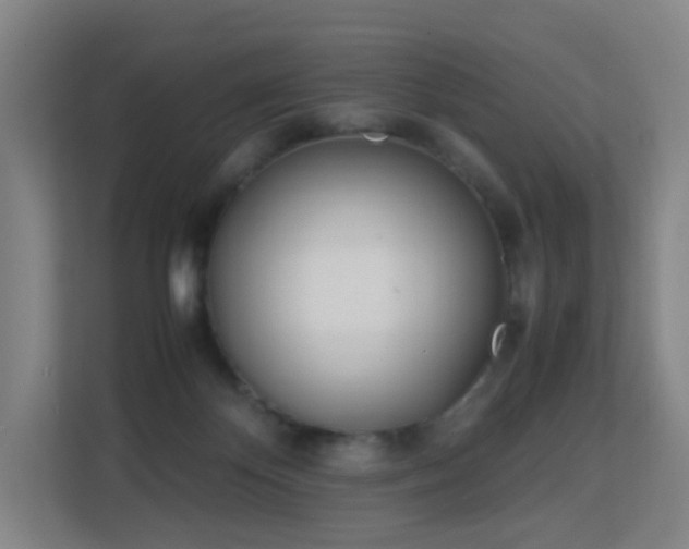 X0000113150124200909111002