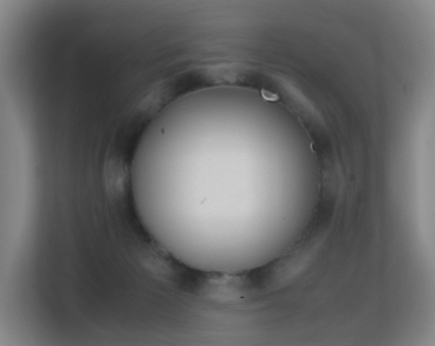 X0000113150125200909111002